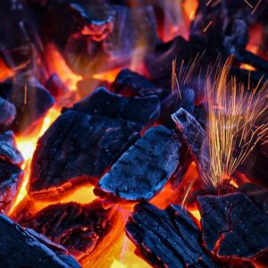 Drveni Ugljen Fruity jabuka - 10kg